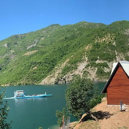 5 Stinet Koman