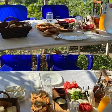 5 Stinet Villa Koman